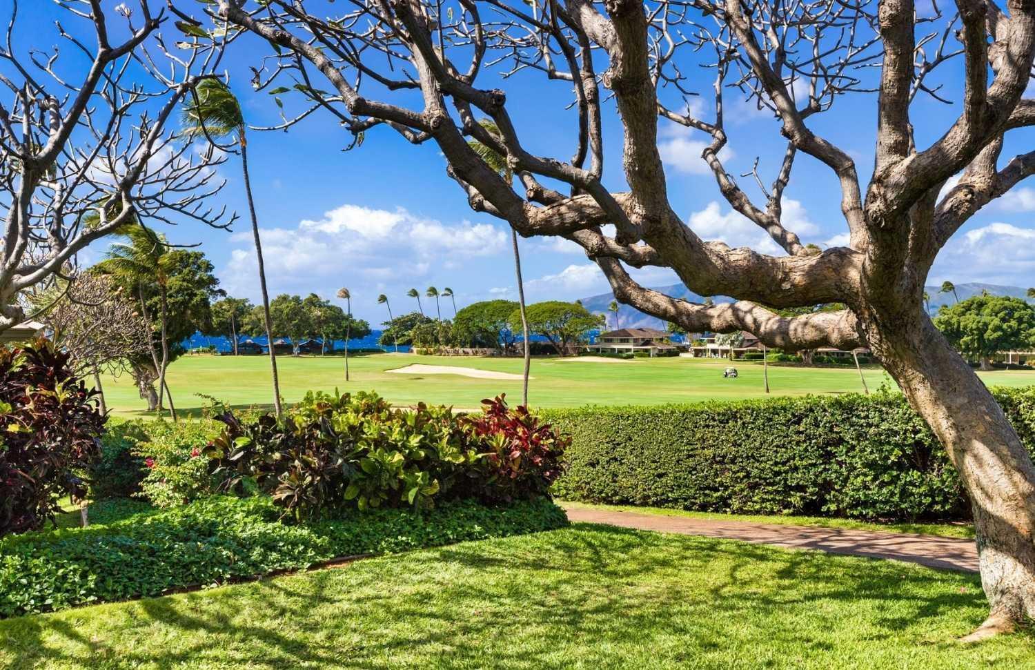 Maui Eldorado - L-105 - Hotel Kahana Eksteriør billede